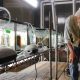 Scientist looks at a row of glass growing tanks