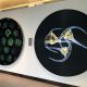 Two circular wall displays of microorganisms, one with three dinoflagellates, on display, winners of 2020 Koch Institute Image Awards