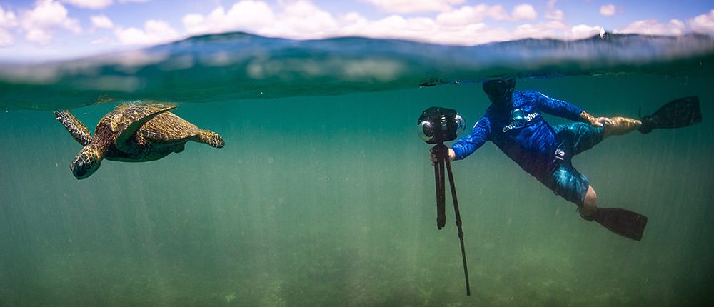 A freediver holds a 360 degree camera to film a sea turtle underwater.