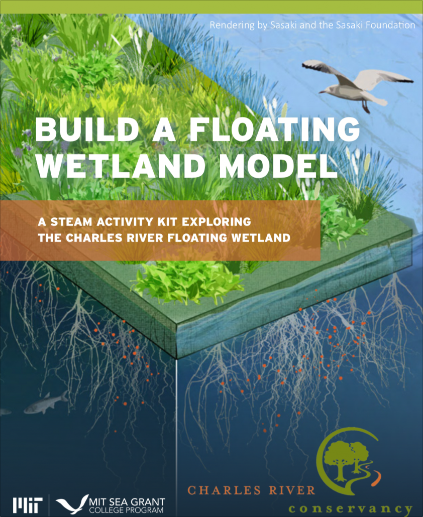 STEAM Saturday Build a Floating Wetland Model booklet cover