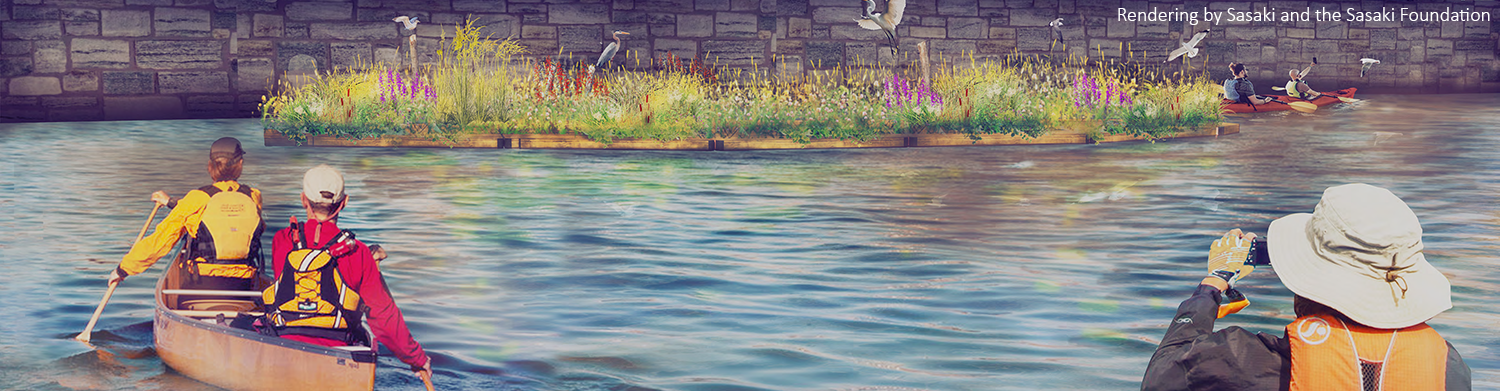 A rendering of the Charles River Floating Wetland depicting kayakers and birds by the wetland.