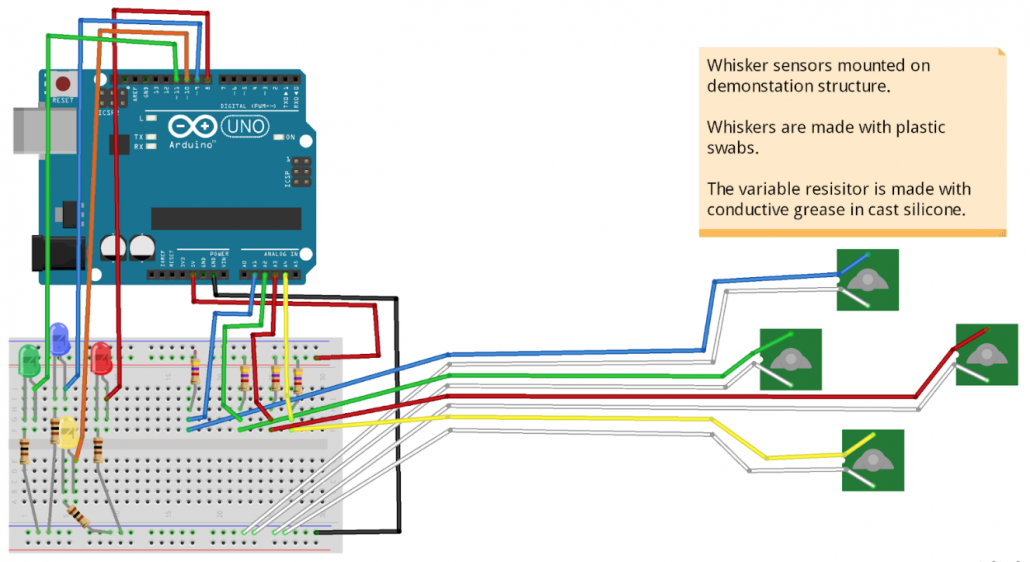 Rendering of test circuit for 4 whiskers, done on Fritzing