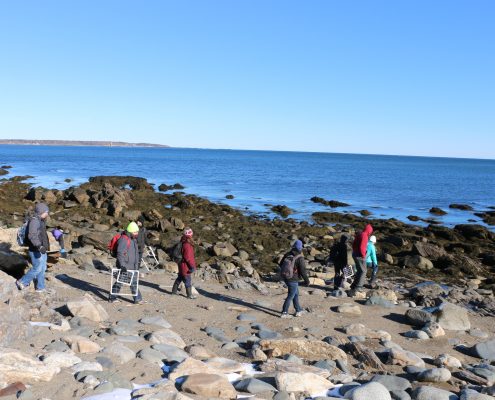 A small group of people walk along a rocky shore with research equipment