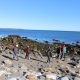 A small group of people walk along a rocky shore with research equipment