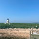 A lighthouse and sea birds on a Massachusetts coast. Photo by Sarah Guitart