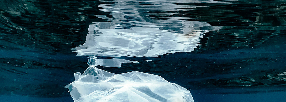 A plastic bag floating underwater