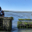 AIM intern flipping an oyster bag on an aquaculture farm