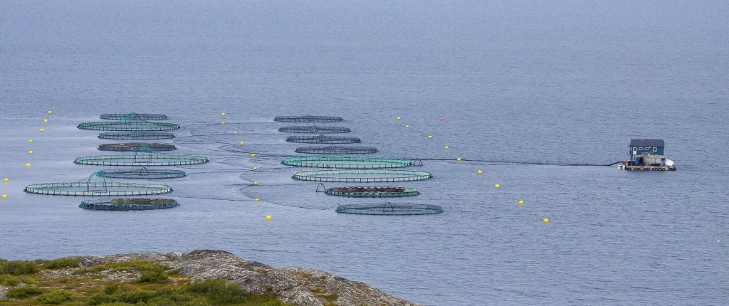 An ocean aquaculture site with circular fish pens in Norway. Image credit: Tapani Hellman