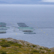 An ocean aquaculture site with circular fish pens in Norway. Image credit: Tapani Hellman