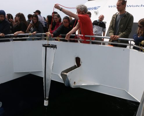 Keith Ellenbogen pulls a plankton tow in from the ocean onto the Boston whale watch boat